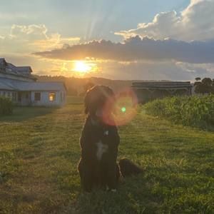 Meet your Posher, Parker